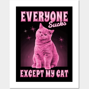PINK CAT ADORABLE Posters and Art